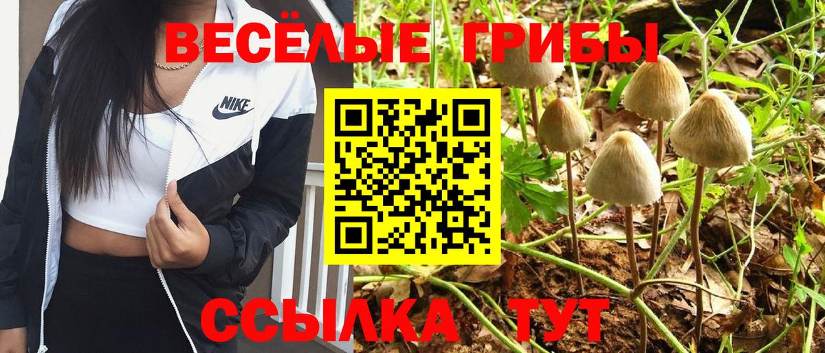 Прокопьевск  Галлюциногенные грибы Psilocybe  Вход с VPN  Галлюциногенные грибы MAGIC MUSHROOMS 