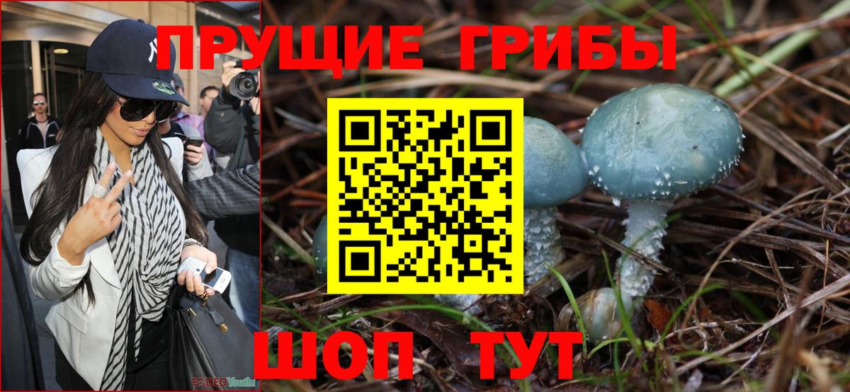 Псилоцибиновые грибы GOLDEN TEACHER Прокопьевск